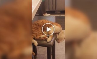 Максимальная забота о клиенте