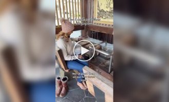 Public foot baths exist in Japan