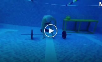 Под водой с штангой: экстремальная тренировка на дне бассейна