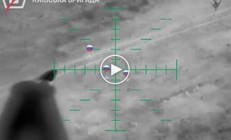 Dronari of the 5th separate assault brigade destroyed an assault group of occupiers with drops