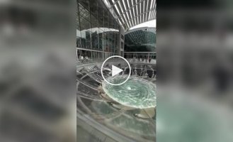 Завораживающий фонтан в Сингапуре