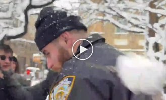 Полицейских закидали снежками в парке Нью-Йорка