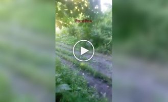 Россиянин из Курщины заснял атаку украинского беспилотника на башню связи