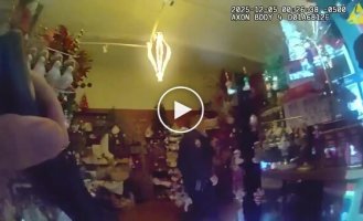 Олениха застряла в стуле в магазине подарков