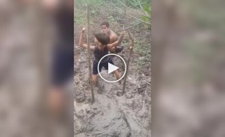 Маленькая шалость