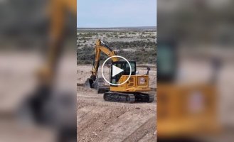 Рабочие повторили сцену из «Короля Льва»