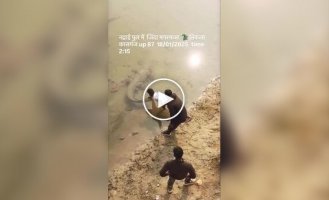 Men woke up a crocodile by pulling its tail