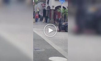 Четкая работа американского полицейского попала на видео