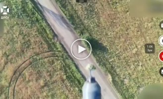 Phoenix pilots destroyed 7 FPV ambushes of the occupiers in the Donetsk region