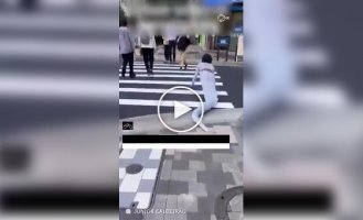 Турист прополз по улицам японского города в костюме змеи
