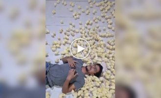 An anti-stress room with hundreds of chickens has opened in India.