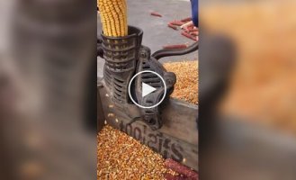 Старая кукурузолущилка с ручным приводом