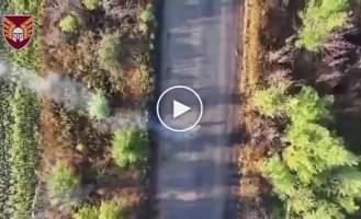 Podolsk paratroopers destroyed enemy drones, Russian infantry, shelters, firing positions and communication systems
