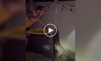 Победить аллигатора можно мусорным баком, выяснили во Флориде