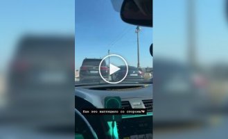 Ищем водителя Passat, чтобы узнать, какое успокоительное он пьет