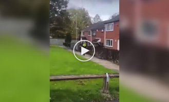 Самая спокойная погоня