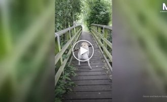 Когда очень хочется забрать находку с собой