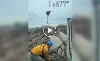 Хлопець кинув камінь у дорожній знак, обліплений бджолами