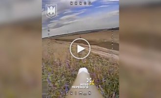 Россиянин перед смертью тщетно пытается сбить украинский дрон выстрелами из автомата