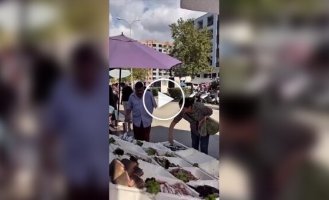 Thieves big and small.