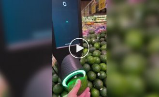 Avocado ripeness scanner