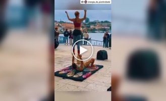 Пес-акробат, который украл все внимание на шоу