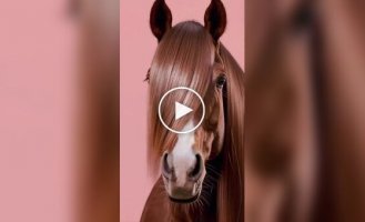 Стайлеры для кошек, собак и лошадей