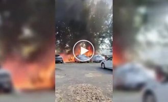 Боролся с тополиным пухом, а победил парковку с 20 автомобилями
