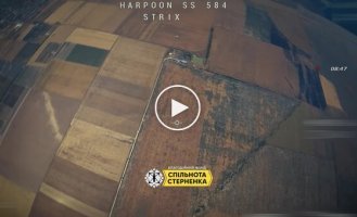 Three of the newest enemy Chernika-2 attack UAVs were shot down by Ukrainian soldiers with anti-aircraft drones