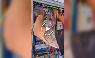 Когда укладка проводов становится искусством