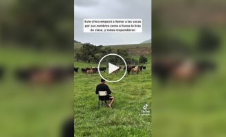 Перекличка на пастбище