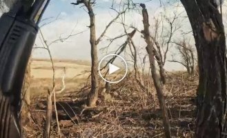 Бойцы 3-й ОШБр зачищают перелесок во время освобождения села Надия на Луганщине