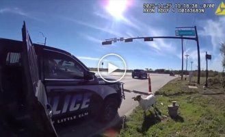 Police officer "arrested" an escaped goat in Texas