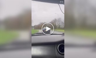 Похоже, кто-то впервые сел за руль Porsche