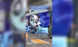 A Chinese family spent a lot of money on a luxury panda-themed train and was left disappointed