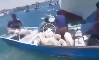 У берегов Йемена начало тонуть судно с тысячами овец на борту