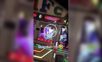 В Индии засняли дальнобойщика на расслабоне