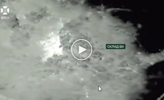Силы обороны уничтожили вражеское орудие БС-3, полевой склад БК, укрытие с россиянами и 2 транспортных средства