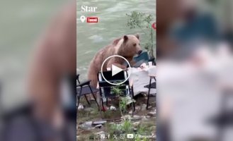 Медведь полакомился едой туристов