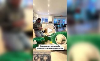 A Christmas Tree That Cats Definitely Won't Knock Over