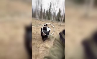 A black bear hasn't forgotten her savior