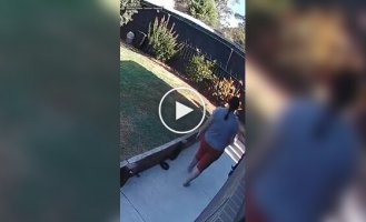 Ядовитая змея обвилась вокруг ноги женщины во дворе дома