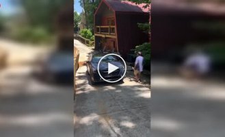 Медведь вскрыл машину, разгромил салон и ушел с банкой пива