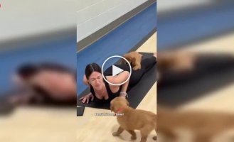 Йога с пушистым помощником