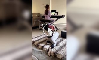 Собака подпевает маленькой хозяйке