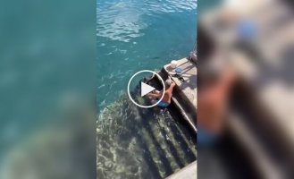 Мужчина подкармливает ската