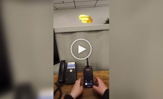 Office employee covered for his colleague