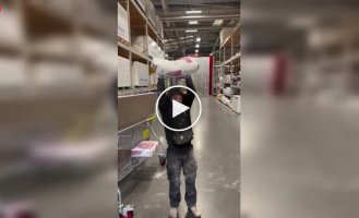 Друзья и коварный план