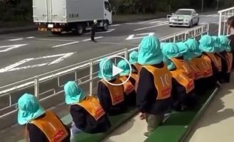 Наглядно и доходчиво