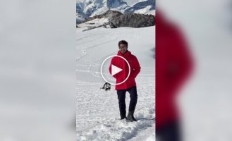 A tourist wanted to take a picture of the Antarctic landscape, but penguins unexpectedly "stole" the shot